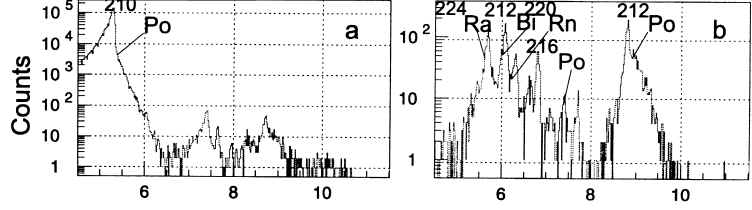 wpe59.jpg (24910 bytes)